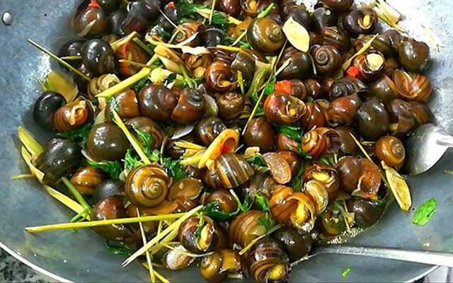 Ốc núi Tây Ninh