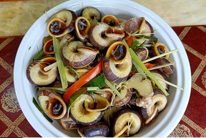 Ốc núi Tây Ninh