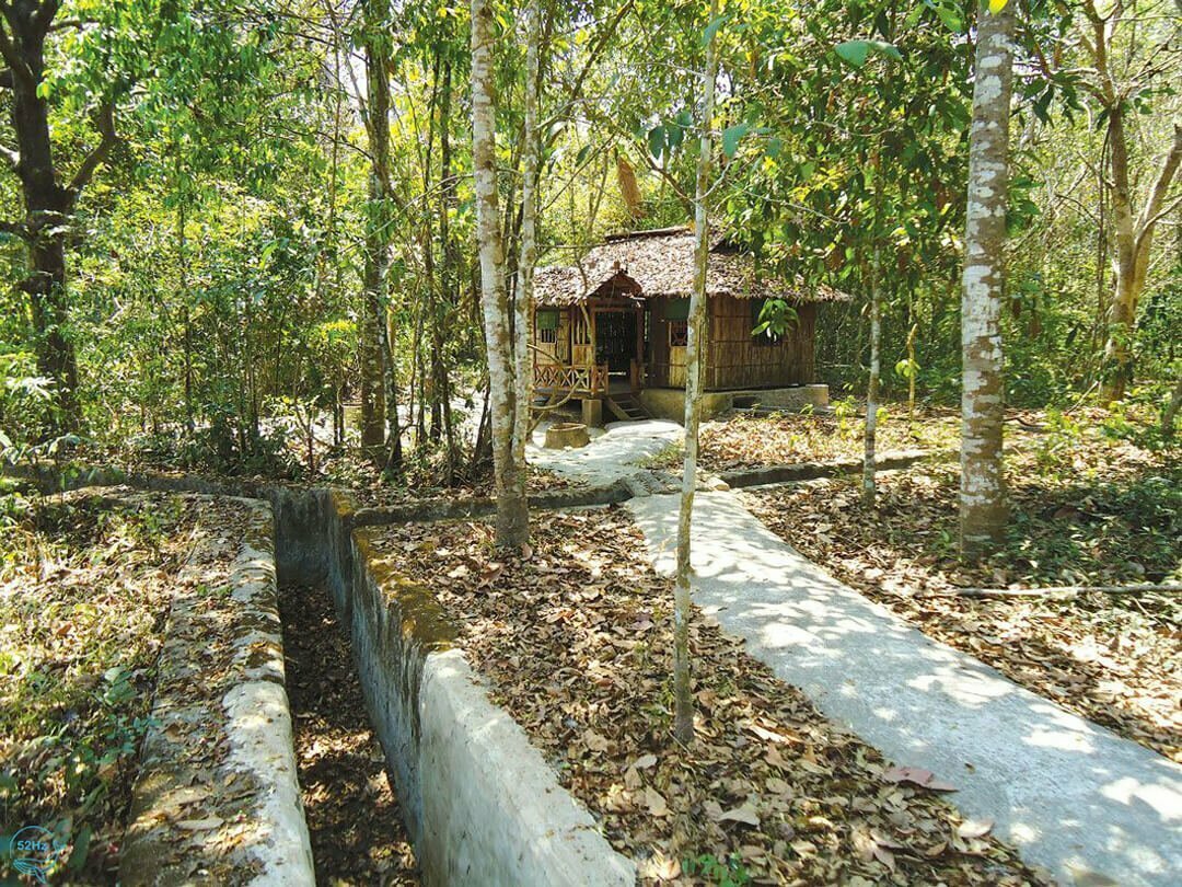 Trung ương cục miền nam